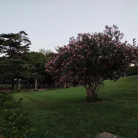 Skyline アパート メッシーナ